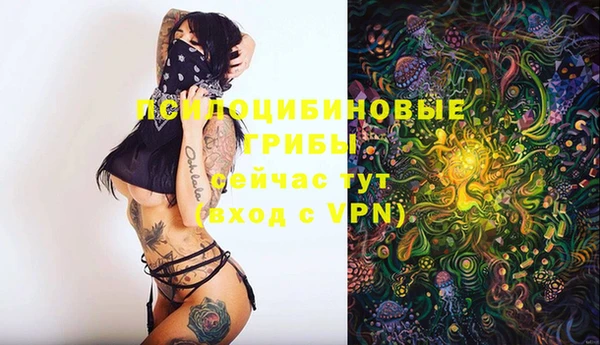 ECSTASY Белокуриха