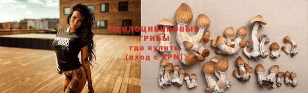 ECSTASY Белокуриха