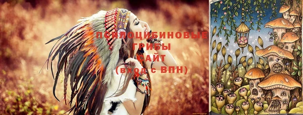 ГАЛЛЮЦИНОГЕННЫЕ ГРИБЫ Беломорск