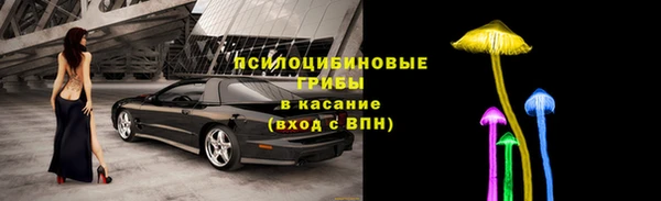 ECSTASY Белокуриха