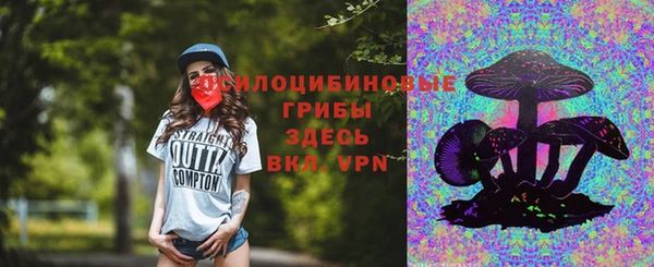 ГАЛЛЮЦИНОГЕННЫЕ ГРИБЫ Беломорск