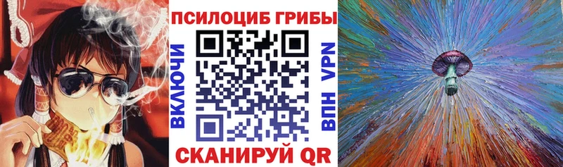 Псилоцибиновые грибы MAGIC MUSHROOMS  Павловск 