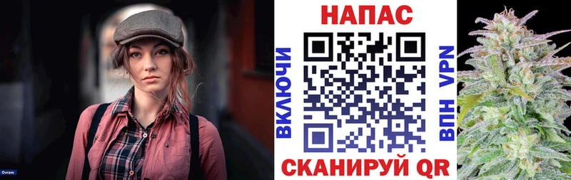 Шишки марихуана OG Kush  купить наркоту  Павловск 